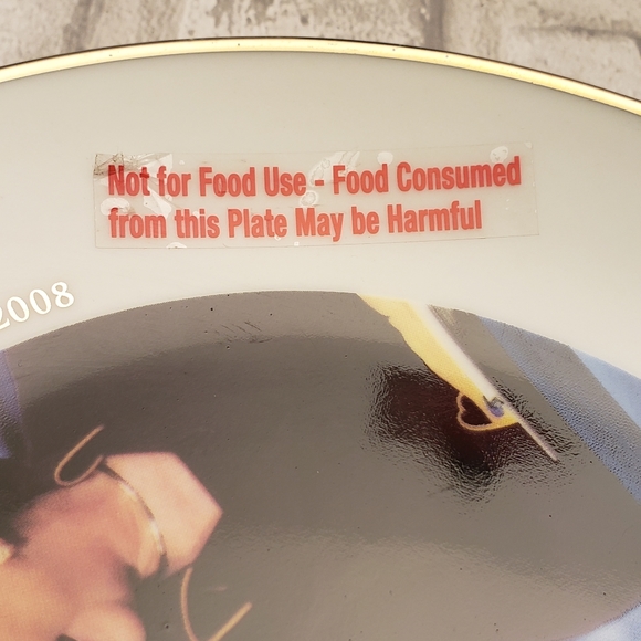 2008 Democratic Primaries 1st Ed Collectible Plate - Picture 6 of 7